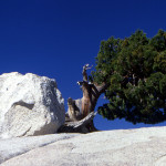 High Sierra Nevada-Yosemite N.P.CA-SEP 1996-Paul HAAN